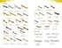 Field Guide to the Micro-moths of Great Britain and Ireland. 2nd. Ed. - Sterling,P. 2023